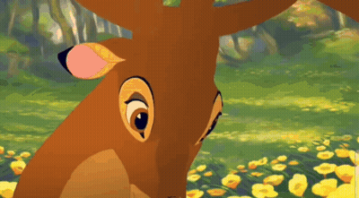 Two Skunks Standing In Flower Field GIF