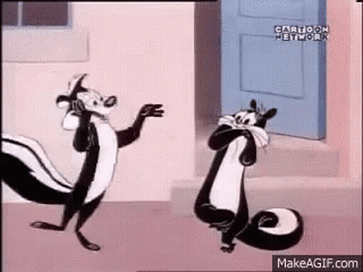 Two Skunks Standing On Sidewalk In Front Of Door GIF