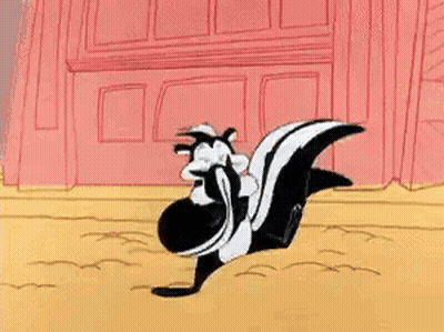 Two Skunks Standing Side By Side GIF