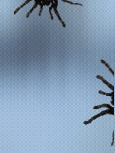 Two Spiders Silhouetted Against Blue Sky GIF