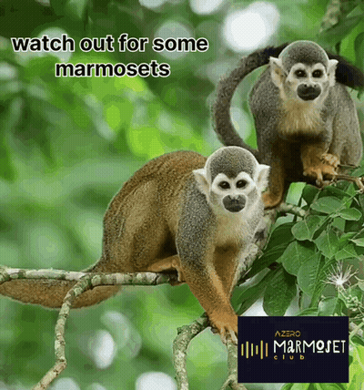 Two Squirrel Monkeys Watch Out For Marmosets GIF