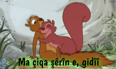 Two Squirrels Hugging Saying Ma Ciga Serifin E Gidii GIF