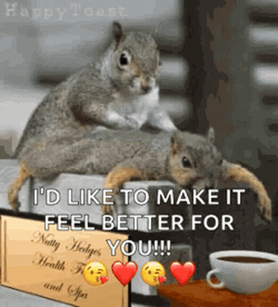 Two Squirrels Laying On Each Other Next To Nutty Hedges Health Food And Spa Sign GIF