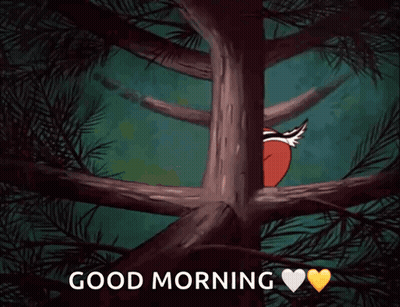 Two Squirrels Peeking Behind Tree Branch Good Morning GIF