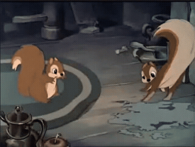 Two Squirrels Standing Next To Each Other GIF