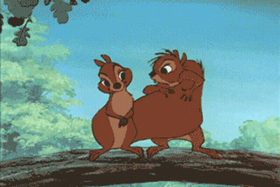 Two Squirrels Standing Together