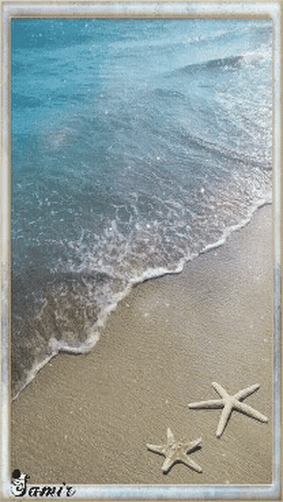 Two Starfish On Sandy Beach With Jamie GIF
