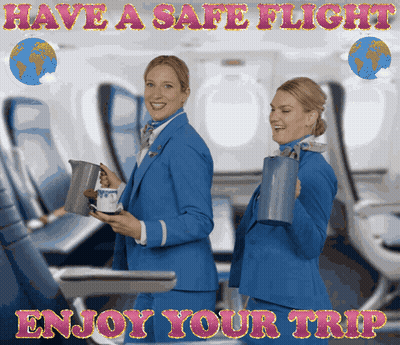 Two Stewardesses Have A Safe Flight GIF