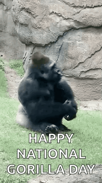 Two Stormtroopers Dancing In Elevator GIF