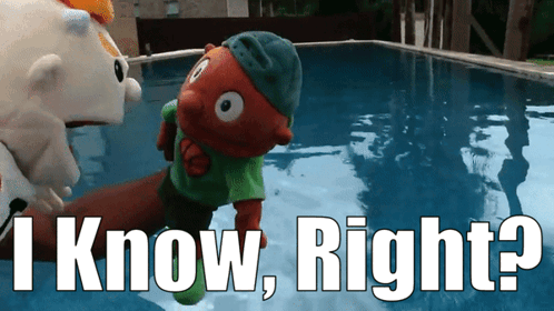 Two Stuffed Animals Are In A Swimming Pool With The Words " I Know Right " Above Them GIF
