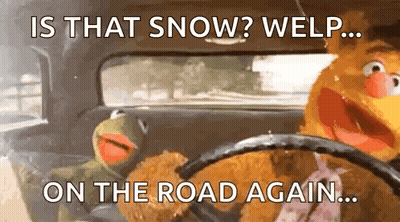 Two Stuffed Animals Are Sitting In A Car With The Words Is That Snow Welp On The Road Again GIF