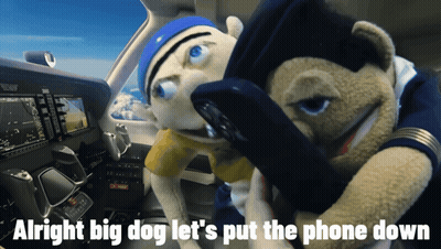 Two Stuffed Animals In A Cockpit With The Words Alright Big Dog Let 'S Put The Phone Down Below Them GIF