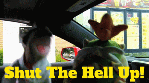 Two Stuffed Animals In Car With Shut The Hell Up GIF