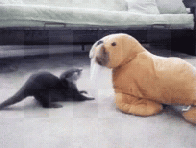 Two Stuffed Animals Playing In Living Room GIF