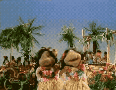 Two Stuffed Animals Wearing Hawaiian Outfits Are Dancing In Front Of Palm Trees GIF