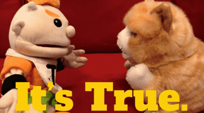 Two Stuffed Animals With The Words It 'S True On The Bottom Right GIF