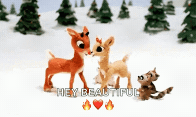 Two Stuffed Reindeer Saying Hey Beautiful GIF