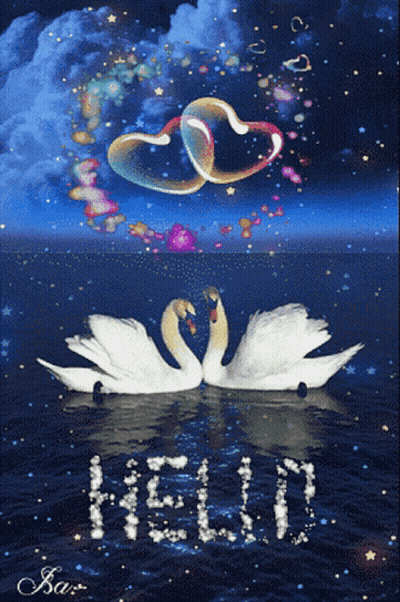 Two Swans In The Water With The Word Hello Written On The Water GIF