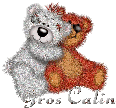 Two Teddy Bears Hugging Gros Calin Sticker