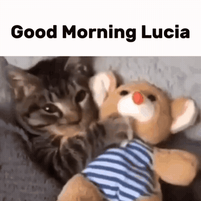 Two Teddy Bears Hugging I Love You Lucy <3 GIF