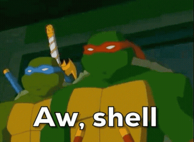 Two Teenage Mutant Ninja Turtles Holding Swords Saying Aw Shell GIF