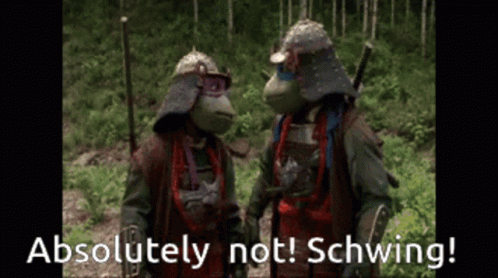Two Teenage Mutant Ninja Turtles Standing Next To Each Other With The Words Absolutely Not Schwing Below Them GIF