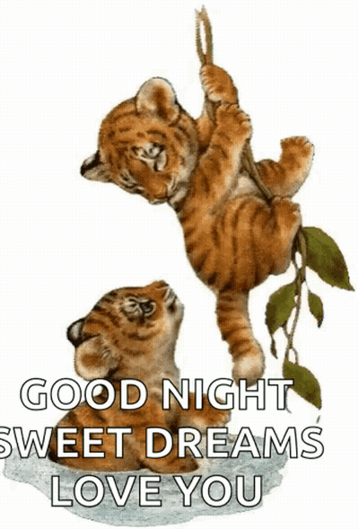 Two Tiger Cubs Hanging From Tree Branch Saying Good Night Sweet Dreams Love You GIF