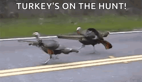 Two Turkeys Are Running Down A Road With Guns In Their Mouths . GIF