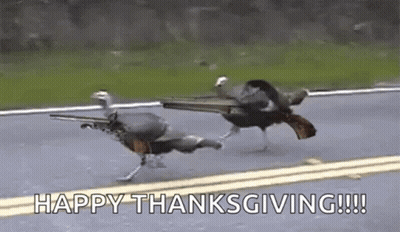 Two Turkeys Running With Guns In Mouths GIF