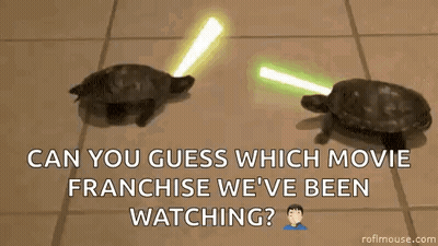Two Turtles Standing Next To Each Other GIF