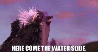 Two Vultures Are Standing Next To Each Other With The Words `` Here Come The Water Slide . '' GIF