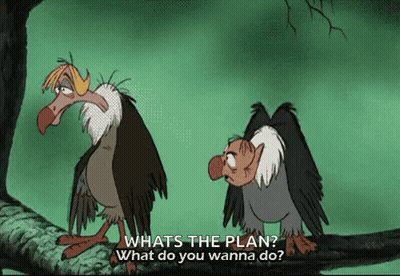 Two Vultures On Branch One Asking What The Plan Is GIF