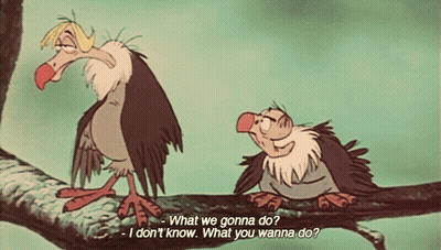 Two Vultures On Branch Saying What We Gonna Do GIF