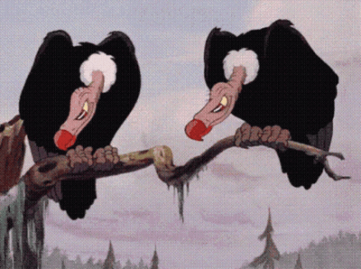 Two Vultures Perched On Tree Branch Beaks Open GIF