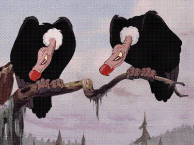 Two Vultures Perched On Tree Branch With Beaks Open GIF
