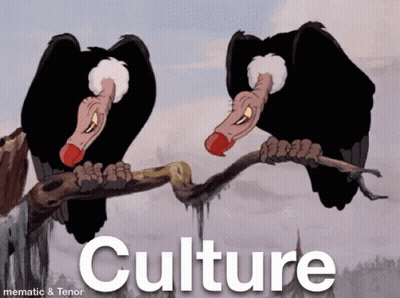 Two Vultures Perched On Tree Branch With Culture GIF
