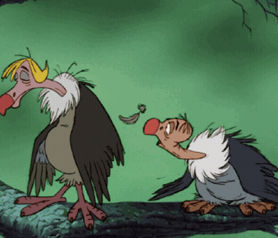 Two Vultures Standing On A Log GIF