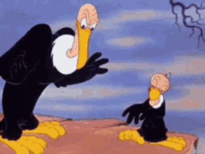 Two Vultures Standing On Rock GIF