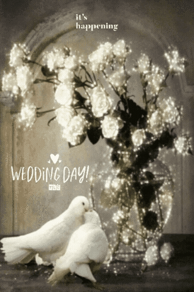 Two White Birds Kissing In Front Of A Vase Of Flowers With The Words Wedding Day GIF