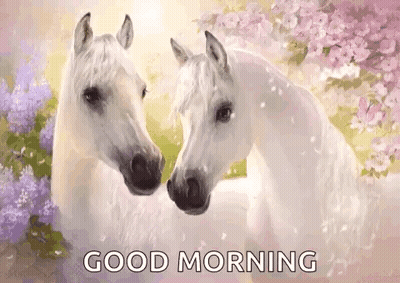 Two White Horses Are Standing Next To Each Other In A Field With Flowers And The Words `` Good Morning '' . GIF