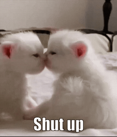 Two White Kittens Kissing In Front Of A Mirror With The Words Shut Up In The Corner GIF