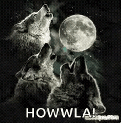 Two Wolves Are Howling At The Moon In The Dark . GIF