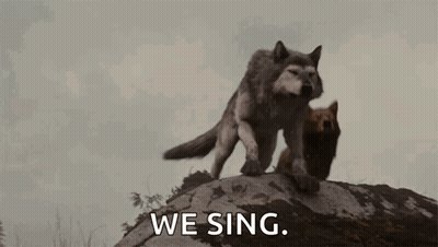 Two Wolves Are Standing On Top Of A Rock With The Words `` We Sing '' . GIF