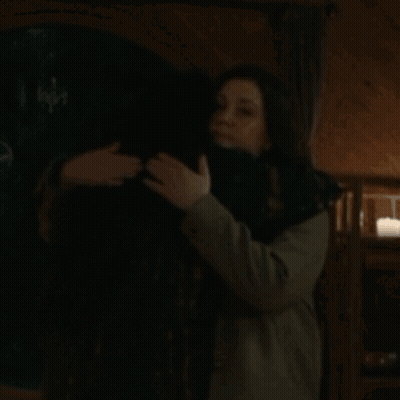 Two Wolves Hugging With Signature GIF