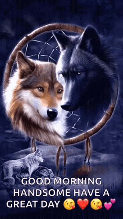Two Wolves In Dream Catcher Good Morning Handsome Have A Great Day GIF
