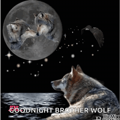Two Wolves Kissing In Front Of Full Moon Goodnight Brother Wolf GIF