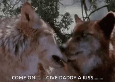 Two Wolves Kissing In Woods Saying Come On Give Daddy A Kiss GIF