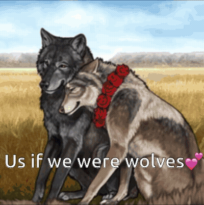 Two Wolves Sitting Next To Each Other GIF