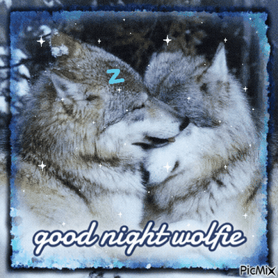 Two Wolves Sleeping Good Night Wolfie GIF