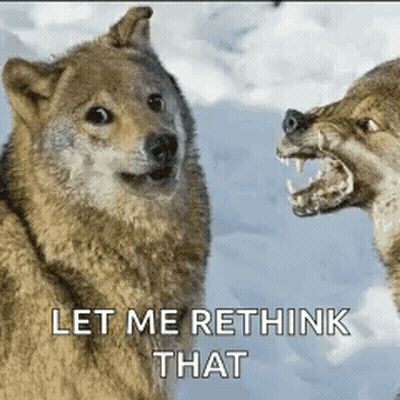 Two Wolves Standing In Snow GIF
